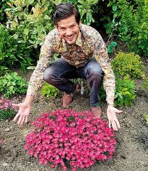 Bodendecker Nelke Vivid Top Stauden Baldur Garten Bodendecker Bodendecker Winterhart Garten Pflanzkasten