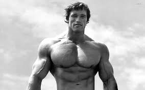 bodybuilding windows, HD wallpaper | Wallpaperbetter