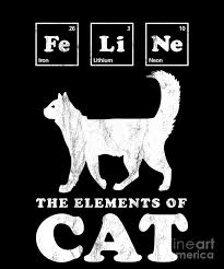 What did the cat say after drinking methanol? Chemistry Cat Feline The Elements Of Cat Drawing By Noirty Designs