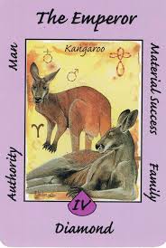 Iv The Emperor Kangaroo Australian Animal Tarot Deck Material Success Authority Father Brother Husband A Australian Animals Animal Tarot Kangaroo Art