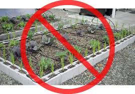 How to build a raised garden with concrete blocks. Cinder Block Gardens Have Recently Become Very Popular However A Risk Of Heavy Metal Poisons From Fly Ash W Cinder Block Garden Raised Garden Beds Garden Beds