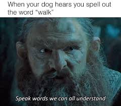 Based on my current ammo, every 125 shots would equal the cost of a single table. So Much For The Legendary Courtesy Of The Elves Lotrmemes