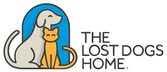 Anybody interested in adopting an animal needs to make an online application. Animal Welfare Charity The Lost Dogs Home