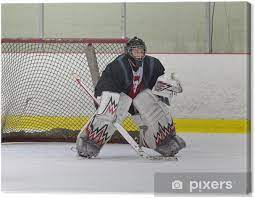 Als dankeschön haben wir ihnen einen großen zuschuss zum torwart sommercamp bei den @magicgoalies zukommen lassen, wo sie ihr können weiter. Leinwandbild Hockey Torwart Bereit Um Den Schuss Pixers Wir Leben Um Zu Verandern