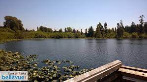 Otsego county, new york geographic & property information network. Larsen Lake Blueberry Farm Bellevue Attractions Events Happenings Bellevue Com