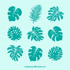 Check spelling or type a new query. Palm Leaf Images Free Vectors Stock Photos Psd