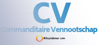 Check spelling or type a new query. Badan Usaha Cv Dan Bagaimana Cara Mendirikannya Mikaylabinar