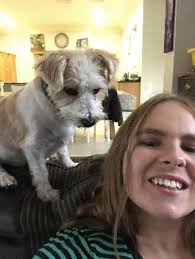 Dog Walking in Limerick , Milltown