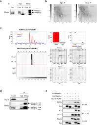 If available, see below for a list of known police frequencies for boyleston, indiana. Identification Of 14 3 3g As A Mieap Interacting Protein And Its Role In Mitochondrial Quality Control Scientific Reports