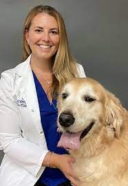 Our pacific heights and mission hospitals remain open for routine, sick, urgent, and emergency care. Bluepearl Pet Hospital Southfield Mi Our Vets