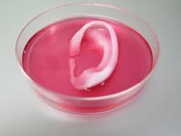 Our research indicates the feasibility of printing bone, muscle, and. Incredible 3d Printer Can Make Bone Cartilage And Muscle