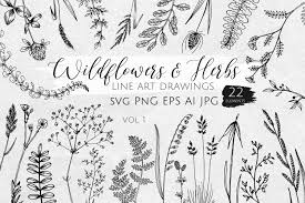 Silhouette Cut Files Hand Drawn Flourish Svg Dxf Wedding Flowers And Herbs Eps Floral Svg Clipart Png Flower Stem Svg Branches Svg Die Cuts Craft Supplies Tools Colonialgolfhart Com