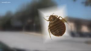 These 3 Michigan cities are among the 50 worst hot spots in the nation for bed bugs