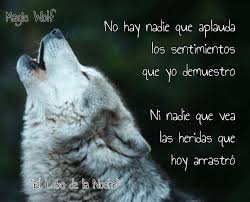 Nadie Te Puede Ver Wolf