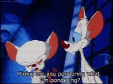 Pinky and the brain , brain abuses pinky. Pinky Brain Take Over The World Gifs Tenor