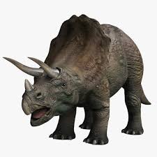 Triceratops 3d Model Ad Triceratops Model 3d Model Model Dinosaur