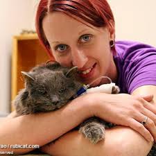 Best Cat Boarding near Newport Animal Hospital in Middletown, RI