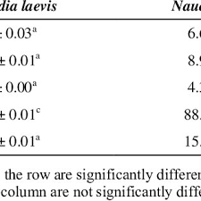 Image result for Rhodopentas bussei