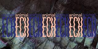 Guided tours of the exposition "animalECH" - Visit Luxembourg City