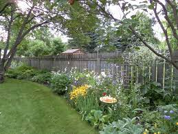 Tall White Babybreath Like Plant Along Fence Is Crame Cordifolia A Zone 5 Or 6 Plant This Is A Zone 4 North Da Backyard Landscaping Plants Outdoor Landscaping