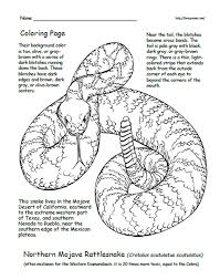 358 x 512 jpeg 42 кб. Dangerous Rattlesnake Coloring Page Free Coloring Library