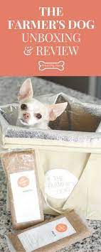 Why I Feed The Farmers Dog Food Unboxing Review Fresh Dog Food Healthy Dog Food Why I Dog Food Recipes Healthy Dog Food Recipes Human Grade Dog Food