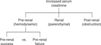 Image result for Postrenal Failure