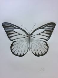 Pencil techniques for better drawings. Butterfly Pencil Drawing Debbie New