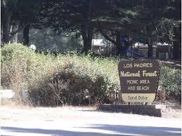 Visit bringfido for an overview of the beach, along with pictures, directions, and reviews from we must have missed the sand dollar season as we didnt even see one; Los Padres National Forest Sand Dollar Beach Day Use
