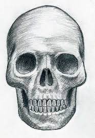 Skull Sketch Skulls Drawing Drawings Skeleton Drawings