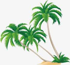 Pin On Palm Tree Clip Art