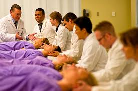 Check spelling or type a new query. Doctor Of Chiropractic