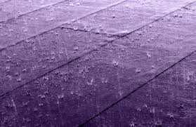 Image result for purple rain