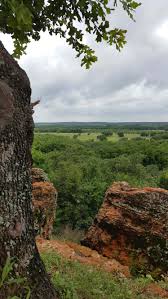 Here, it was $10 for 4 hours! Palmetto State Park Near Luling And Gonzales Texas The Park Opened In 1936 And The Small Sulfur Springs Found He Texas State Parks State Parks Gonzales Texas