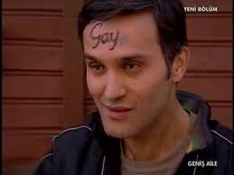 Gay Ulvi