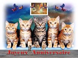 Je veux trouver des cartes d'anniversaires originales pas cher ici carte dromadaire anniversaire humour. Telecharger Carte Postale Virtuelle Anniversaire Gratuite Fond D Ecran Yuriunibelas