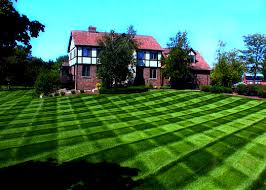 Near you 20+ artificial grass installers near you. Grass Cutting Lawn Maintenance Treesdale Landscape Company