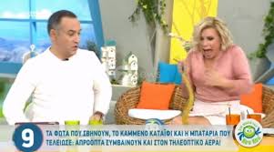 Σχολικά βιβλία με γραμματοσειρές 18. Sth Fwlia Twn Koy Koy Katatroma3e H Katerina Karabatoy Znews