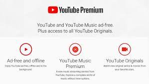 You have to be logged in to your youtube premium account for downloading videos in order to watch offline. Youtube Premium Vs Youtube Tv What S The Difference Pcmag