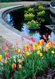 Are there any refunds for atlanta botanical garden tickets? 62 Atlanta Botanical Garden Ideas Atlanta Botanical Garden Plant Collection Garden