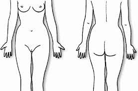 Select from premium female body diagram of the highest quality. Pin On Printable Template Example Simple