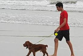Service adoption boarding food service grooming pet purchace training walking. With A Rise In Pet Friendly Hotels And Homestays Bareilly Pet Parents Now Don T Have To Choose Between Their Furry Pals And Vacation Bareilly News Times Of India