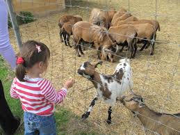 We did not find results for: Do Not Feed The Animals Wikipedia