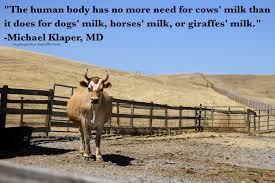 Vegan Quotes 'yes, we praise women over 40 for a multitude of reasons.