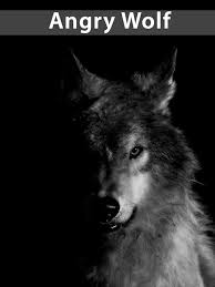 1920x1080 erkunde hintergrundbilder, wolf und noch mehr! Amazing Wolf Wallpapers App Bewertung Analyse Und Kritik Tipps Und Tricks