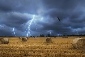 Understanding The Physics Behind Complex Natural Phenomena