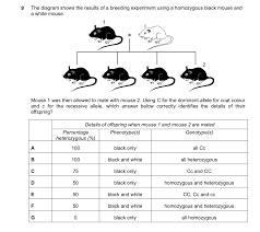 The gametes which each can produce. What Is Heterozygous Dominant In Biology