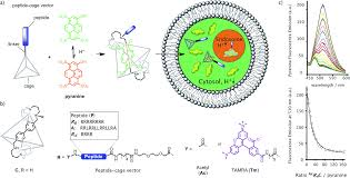 Listen for free to their radio shows, dj mix sets and podcasts. Supramolecular Caging For Cytosolic Delivery Of Anionic Probes Chemical Science Rsc Publishing Doi 10 1039 C9sc02906k