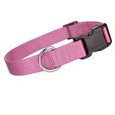 Parisian Pet Nylon Dog Collar Light Pink Baxterboo