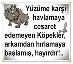Serife Adli Kullanicinin Guzel Anlamli Sozler Panosundaki Pin Guzel Soz Ozlu Sozler Komik